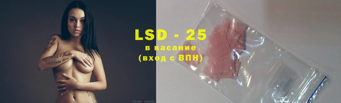 ECSTASY Мегион