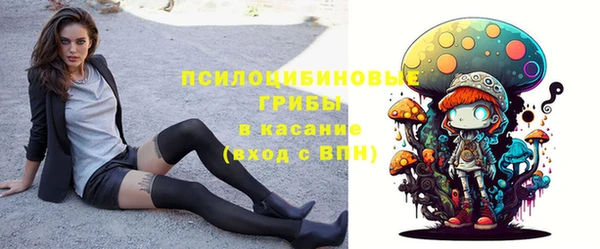 мдма Медвежьегорск
