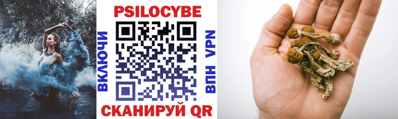 блэк спрут сайт  где купить   Ульяновск  Псилоцибиновые грибы ЛСД 
