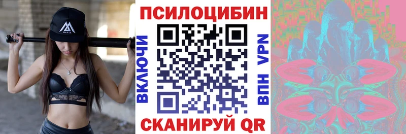 Псилоцибиновые грибы Cubensis Ульяновск