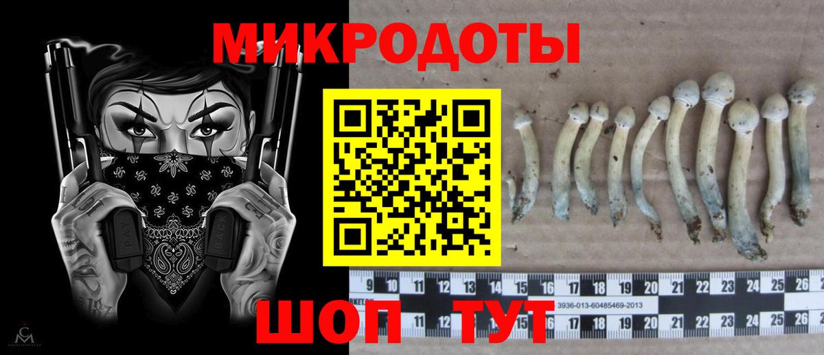 Псилоцибиновые грибы мухоморы  Псилоцибиновые грибы Psilocybine cubensis  Ульяновск  Вход с VPN 